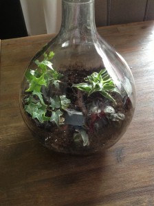 Flaschengarten Tag 0